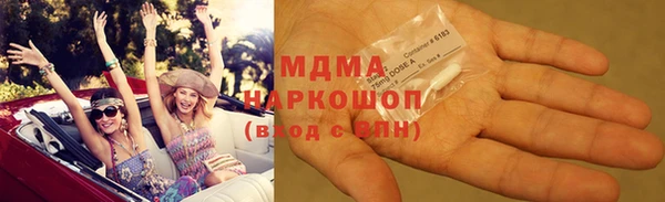 индика Беломорск