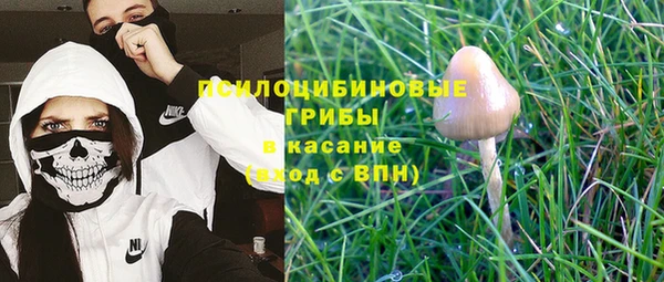 скорость Белокуриха