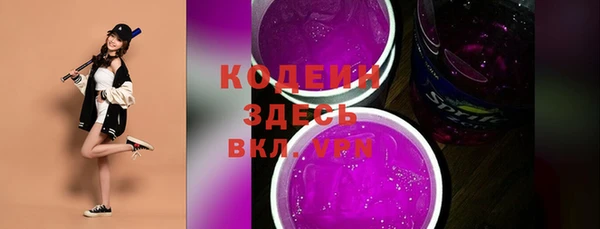 индика Беломорск