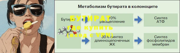индика Беломорск