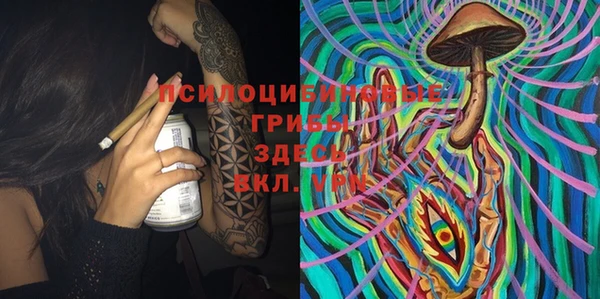 крисы Тавда