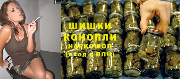 индика Беломорск