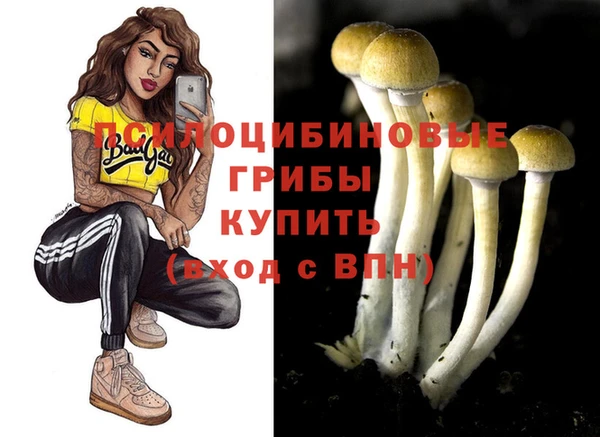 индика Беломорск