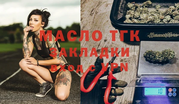 индика Беломорск