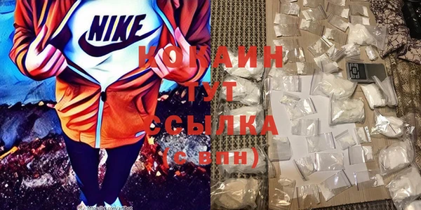 индика Беломорск