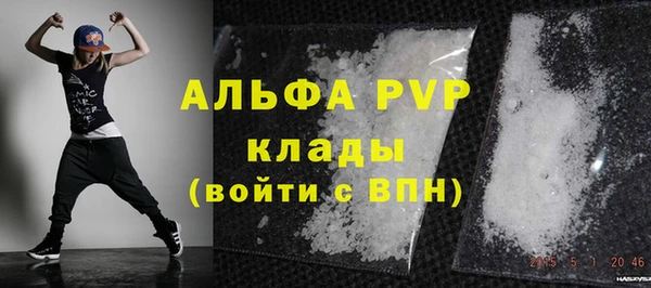индика Беломорск