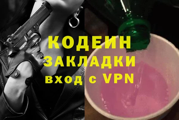 индика Беломорск