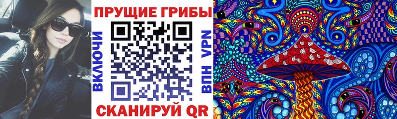 даркнет клад  как найти наркотики  Городец  Псилоцибиновые грибы GOLDEN TEACHER 