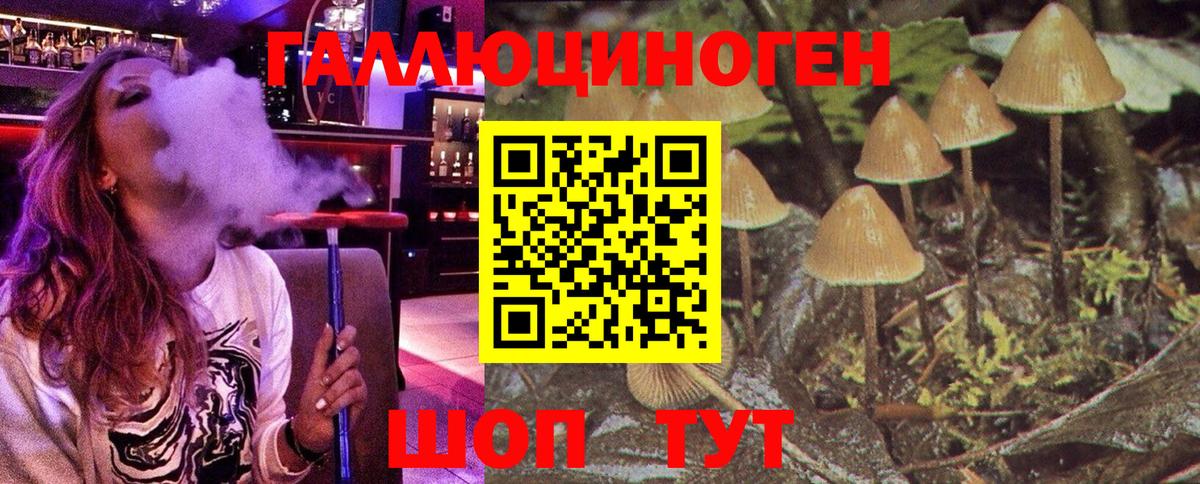 Псилоцибиновые грибы Psilocybe Городец