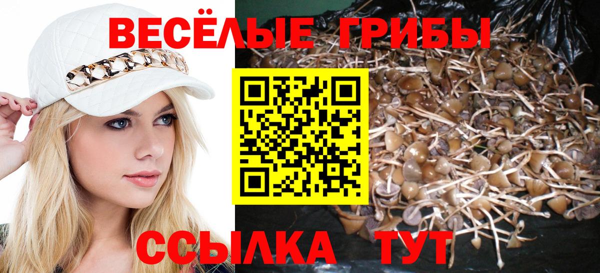 Городец  Псилоцибиновые грибы мицелий  Вход с VPN  Псилоцибиновые грибы прущие грибы 